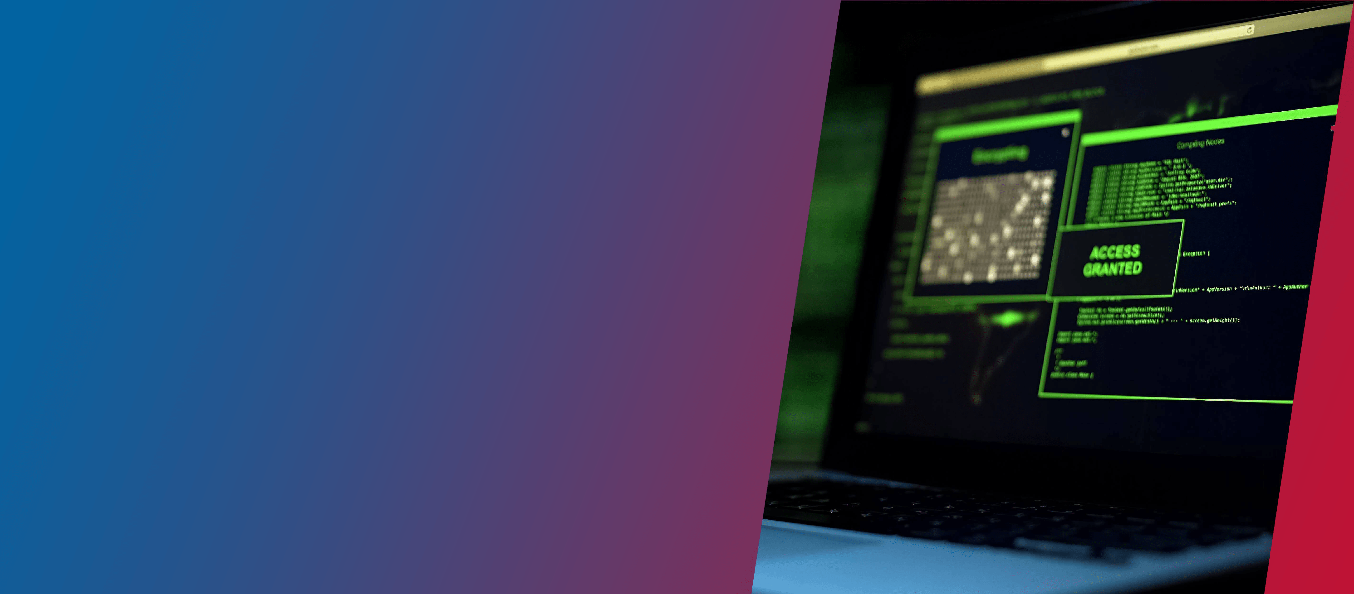 Vynamic<sup>Tm</sup> Security <br> Access Protection